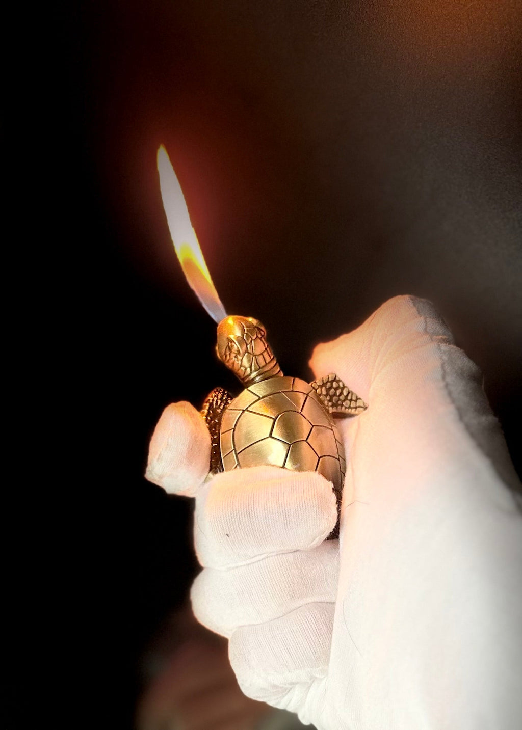 The Gold Turtle
